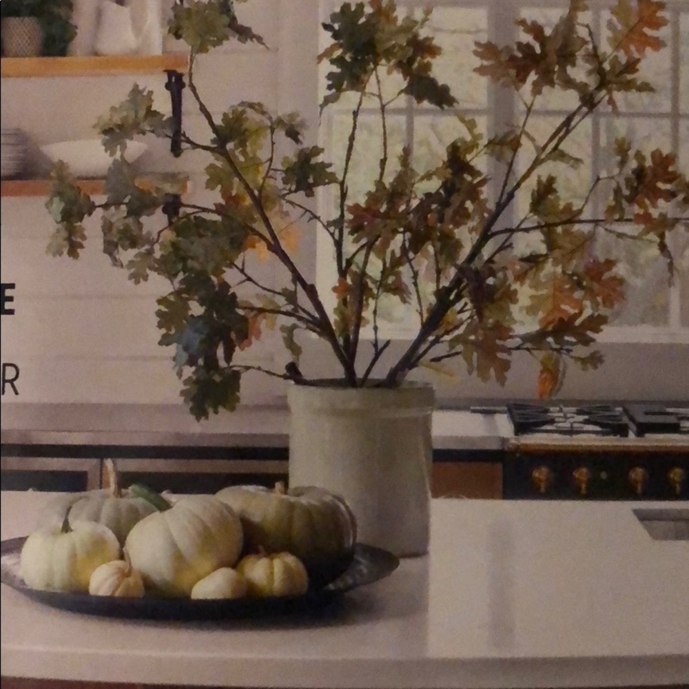 Meet your Posher, Ciara